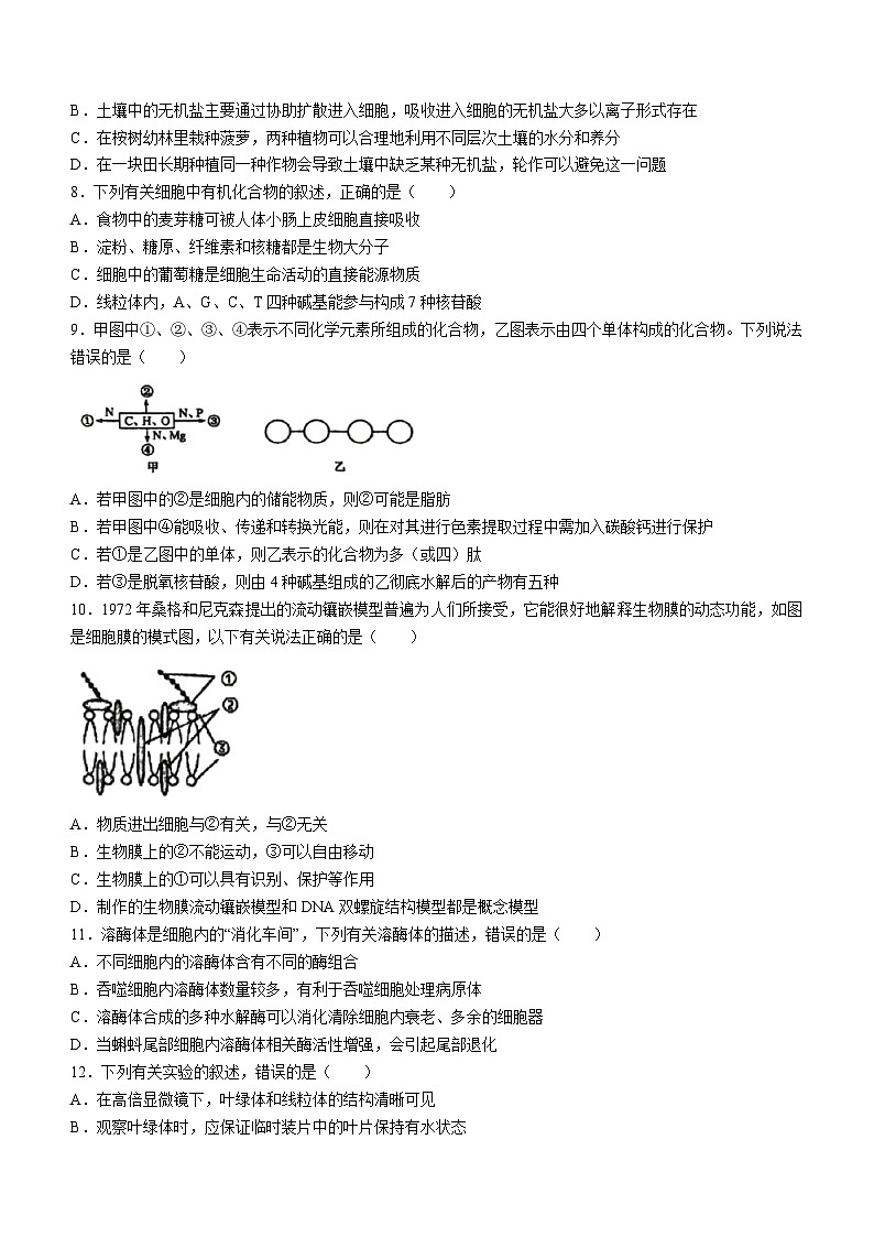 广西柳州市柳州高级中学2023-2024学年高一上学期期末生物试题第2页