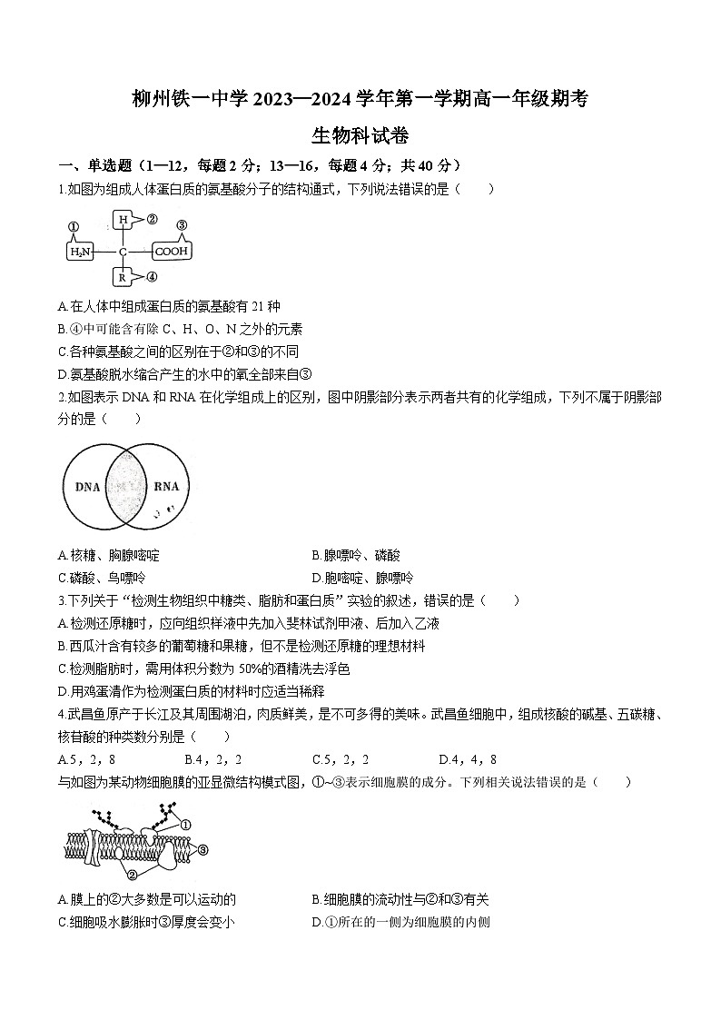 广西柳州铁一中学2023-2024学年高一上学期期末生物试题01