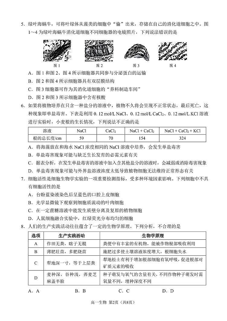 重庆市西南大学附属中学校2023-2024学年高一上学期期末考试生物试题02