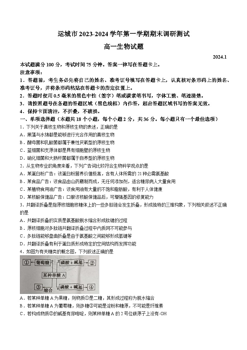 山西省运城市2023-2024学年高一上学期期末生物试题01