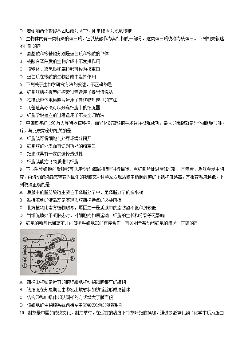 山西省运城市2023-2024学年高一上学期期末生物试题02