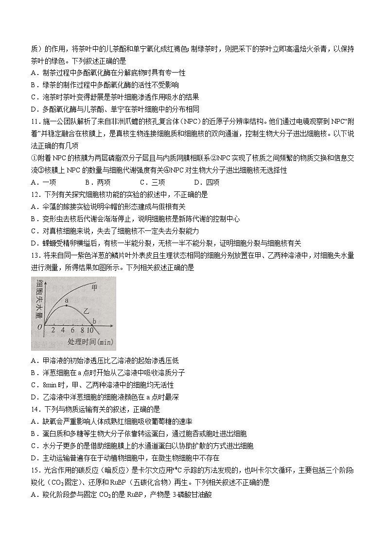 山西省运城市2023-2024学年高一上学期期末生物试题03