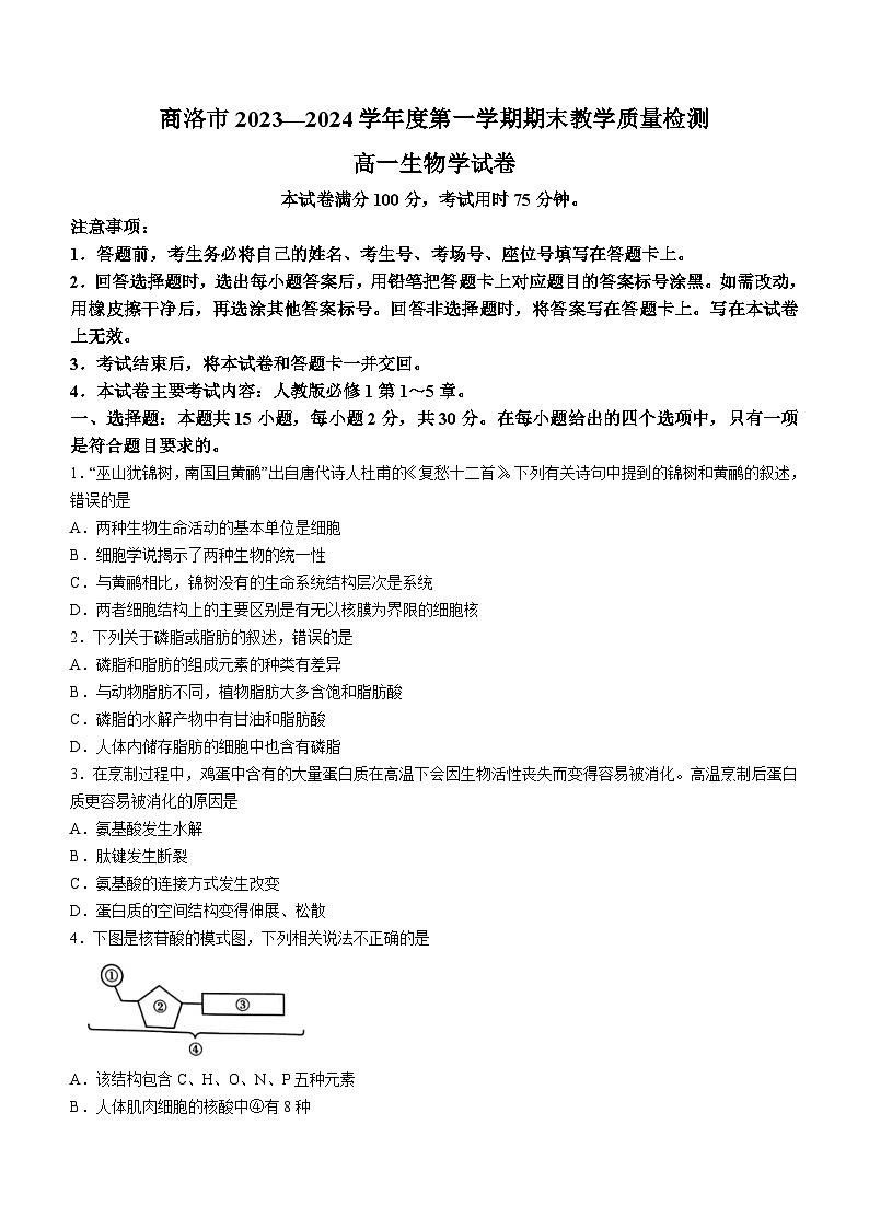 陕西省商洛市2023-2024学年高一上学期期末统测生物试题第1页