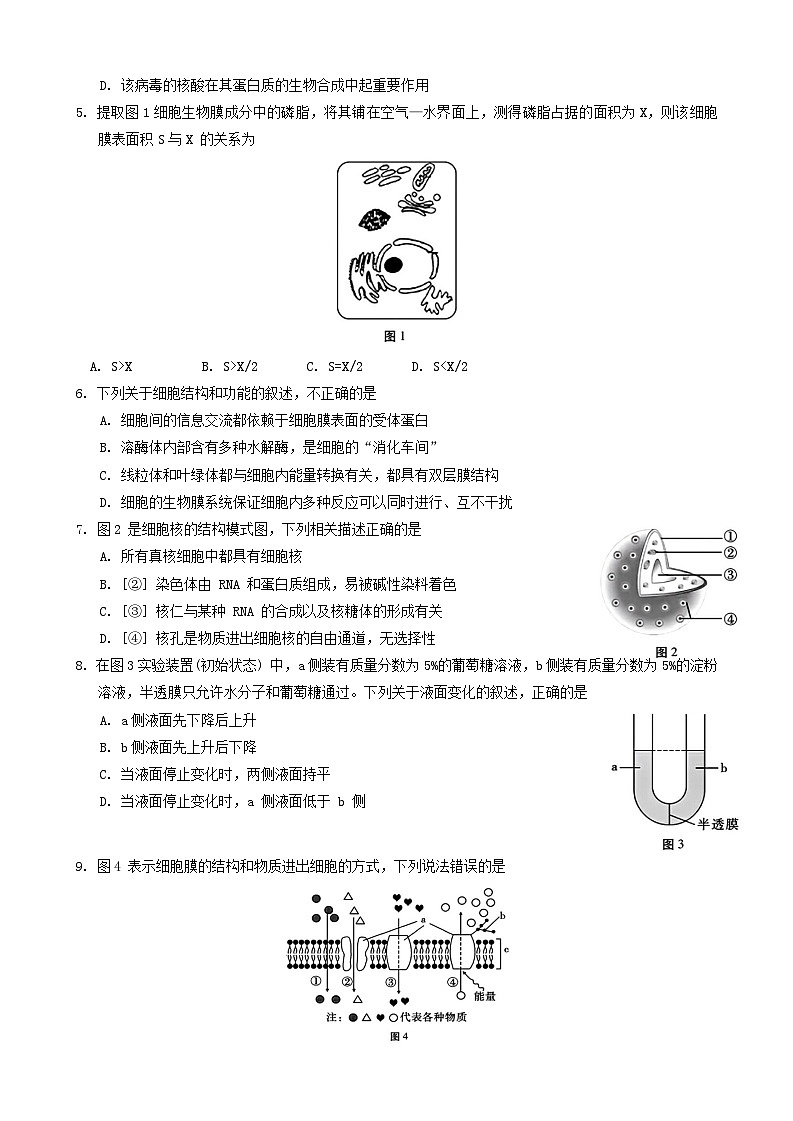 贵州省威宁县2023-2024学年高一上学期高中素质教育期末测试生物试题第2页