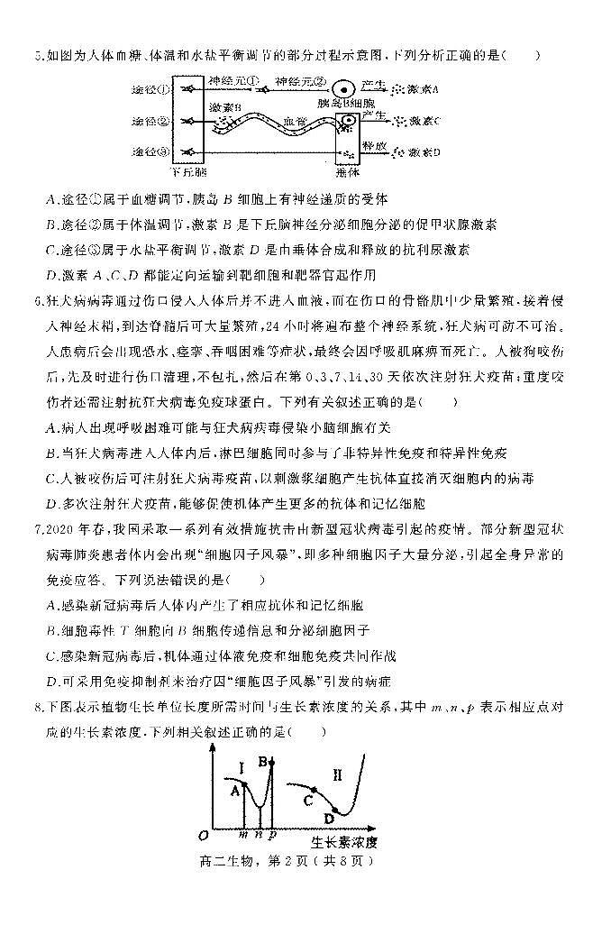 河北省石家庄市辛集市2023-2024学年高二上学期2月期末生物试题02