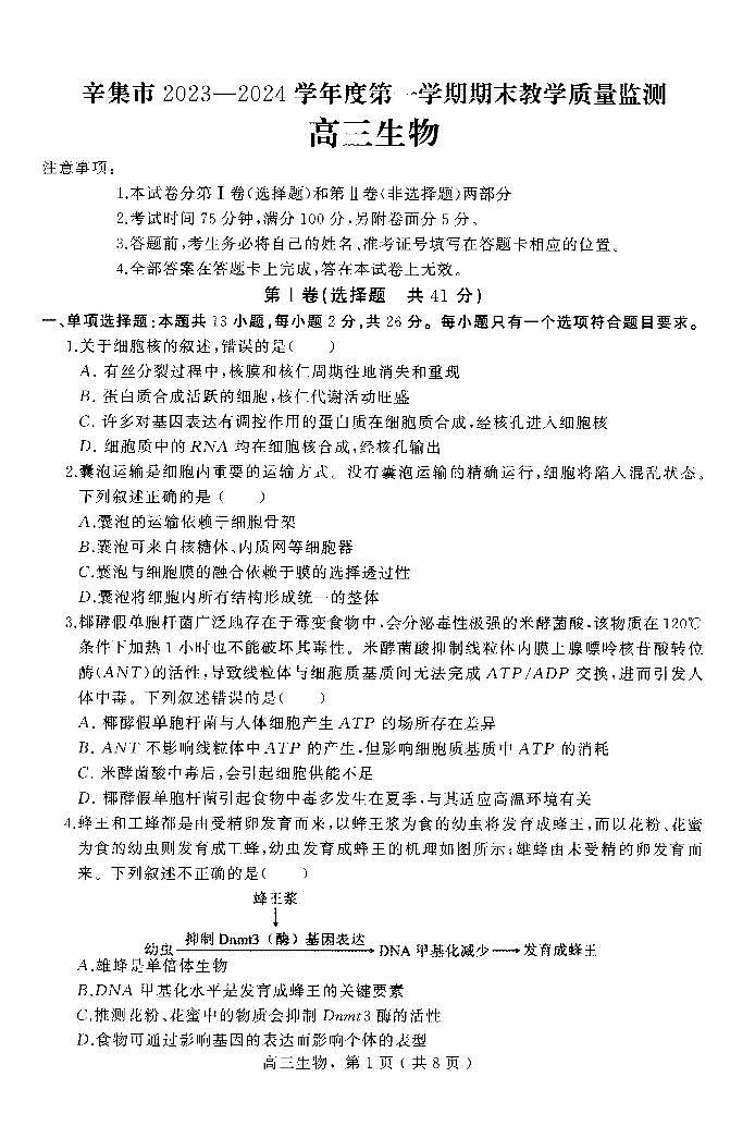 河北省石家庄市辛集市2023-2024学年高三上学期2月期末生物试题01