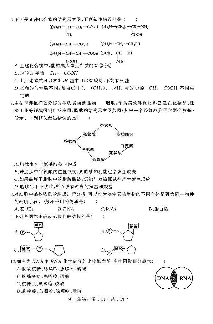 河北省石家庄市辛集市2023-2024学年高一上学期2月期末生物试题02