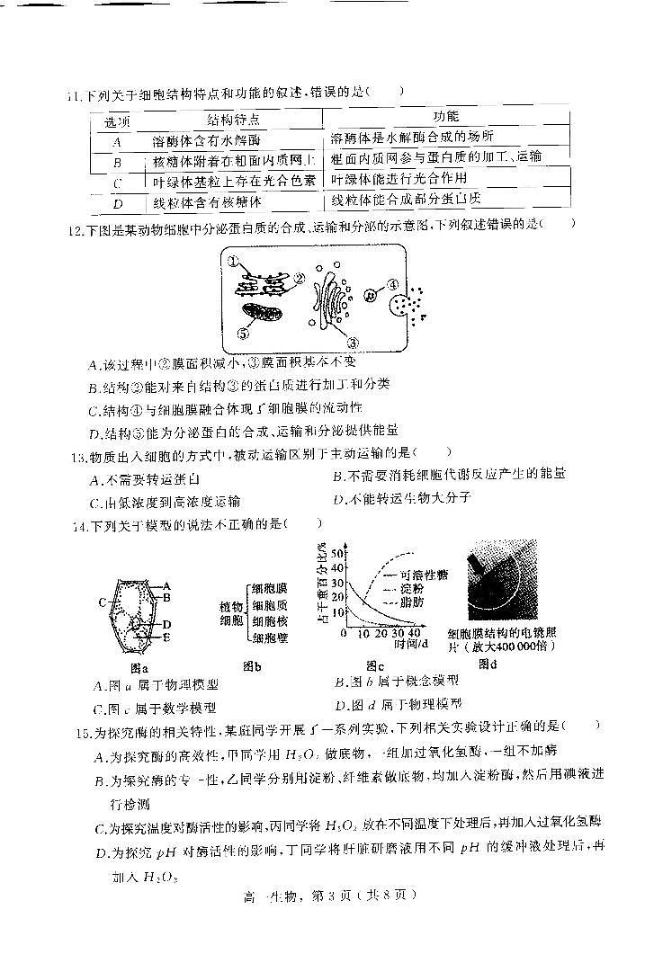 河北省石家庄市辛集市2023-2024学年高一上学期2月期末生物试题03