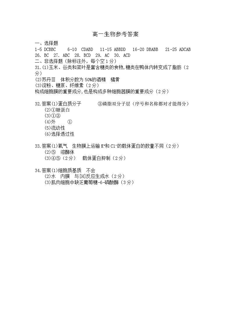 河北省石家庄市辛集市2023-2024学年高一上学期2月期末生物试题01