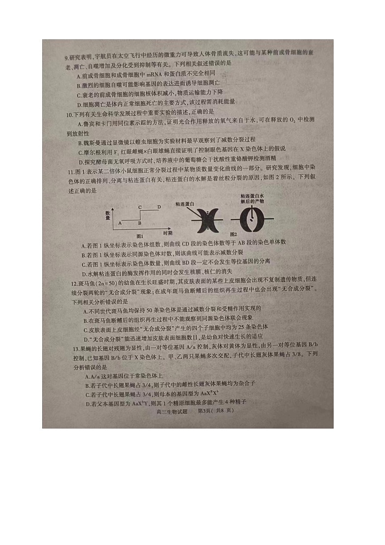 2023--2024学年普通高中高三第二次教学质量检测 生物试题第3页