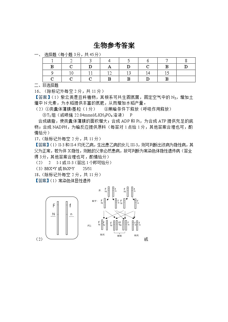 安徽省六安市2024届高三质量检测考试模拟预测生物答案第1页