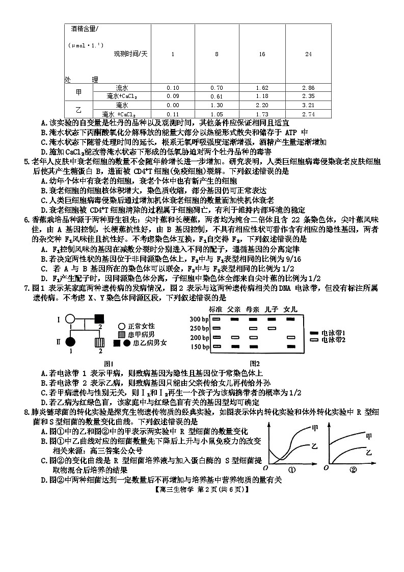 河北省金科大联考2023-2024学年高三上学期1月质量检测生物试题第2页
