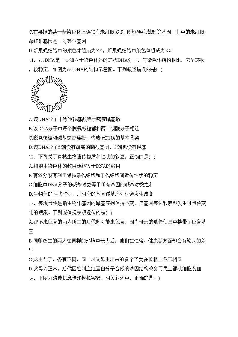 四川省射洪中学校2022-2023学年高一下学期第二次月考生物试卷(含答案)03