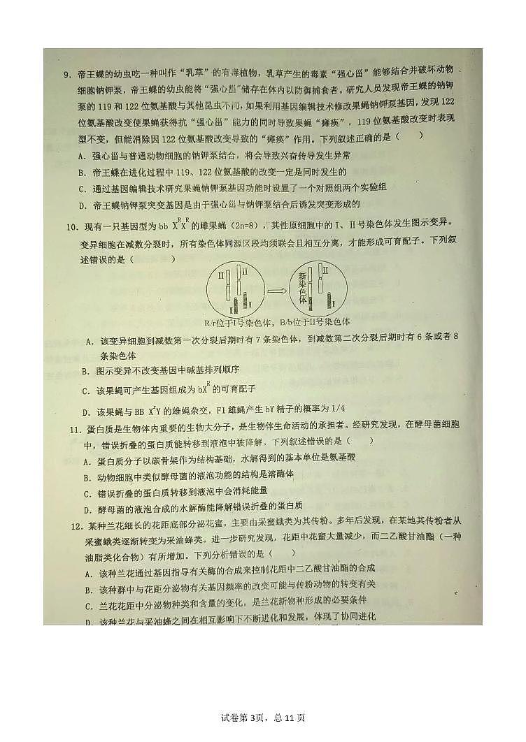 2024衡水武邑中学高三上学期期末考试生物PDF版含答案第3页