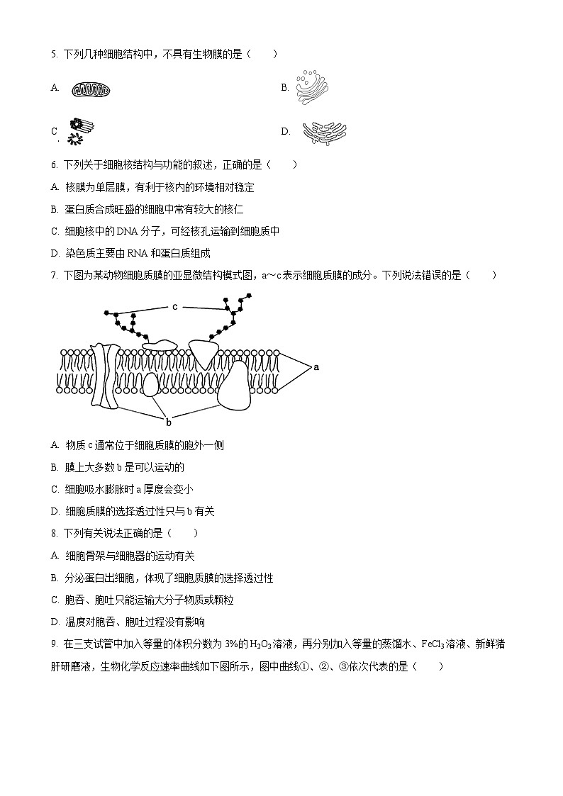 2024扬州高一上学期1月期末考试生物含解析02