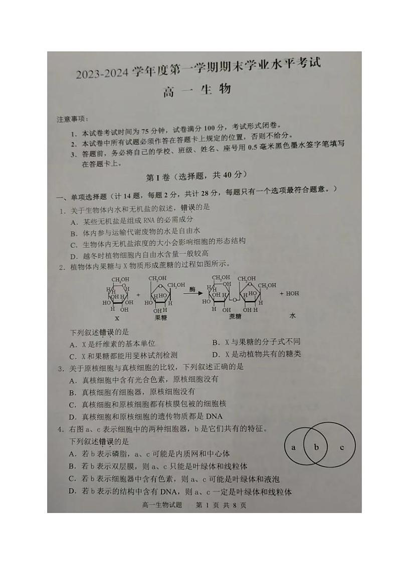2024东台高一上学期期末考试生物PDF版含答案第1页