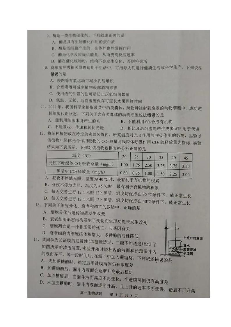 2024东台高一上学期期末考试生物PDF版含答案第3页