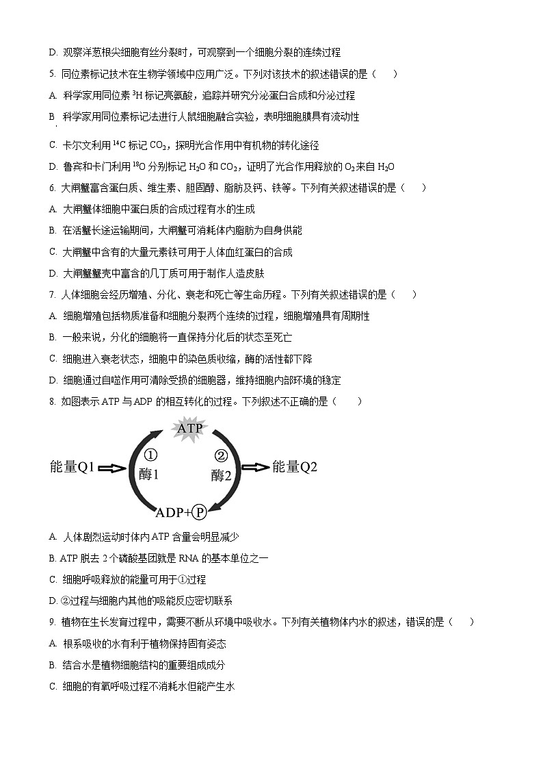 2024海南省海南中学高一上学期期末考试生物含解析02