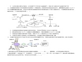 3.2 血糖平衡的调节（第1课时）（分层训练）-2024-2025学年高二生物同步精品课件+分层练习（人教版选择性必修1）