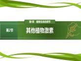 5.2 其他植物激素（课件）-2024-2025学年高二生物同步精品课件+分层练习（人教版选择性必修1）