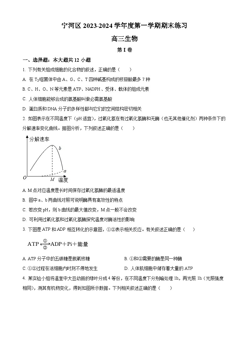 2024天津宁河区高三上学期期末练习生物含解析第1页