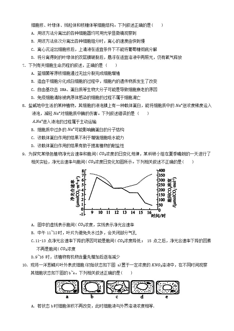 21，河南省周口市鹿邑县2023-2024学年高一上学期期末考试生物试题02