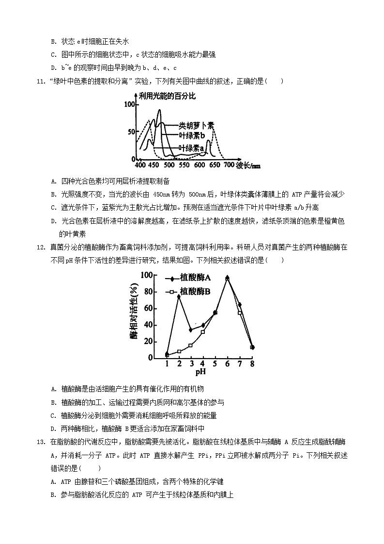 21，河南省周口市鹿邑县2023-2024学年高一上学期期末考试生物试题03