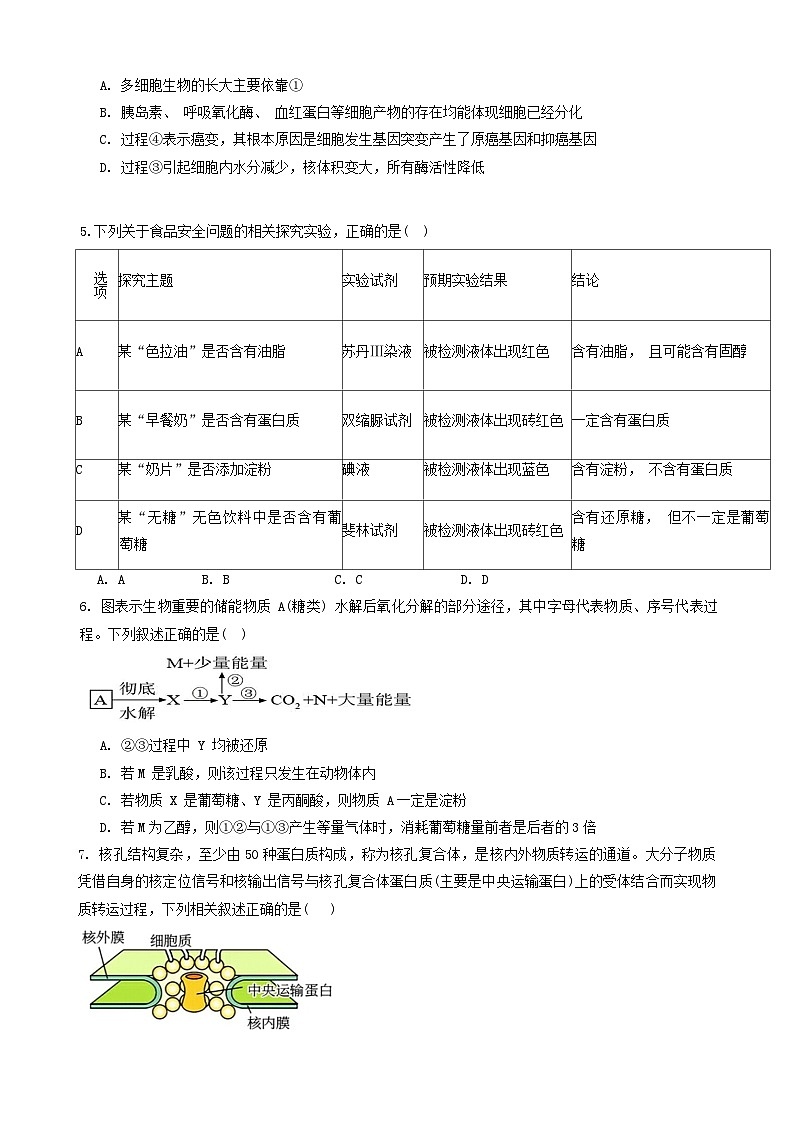 23，青海省西宁市2023-2024学年高三上学期期末联考生物试题第2页