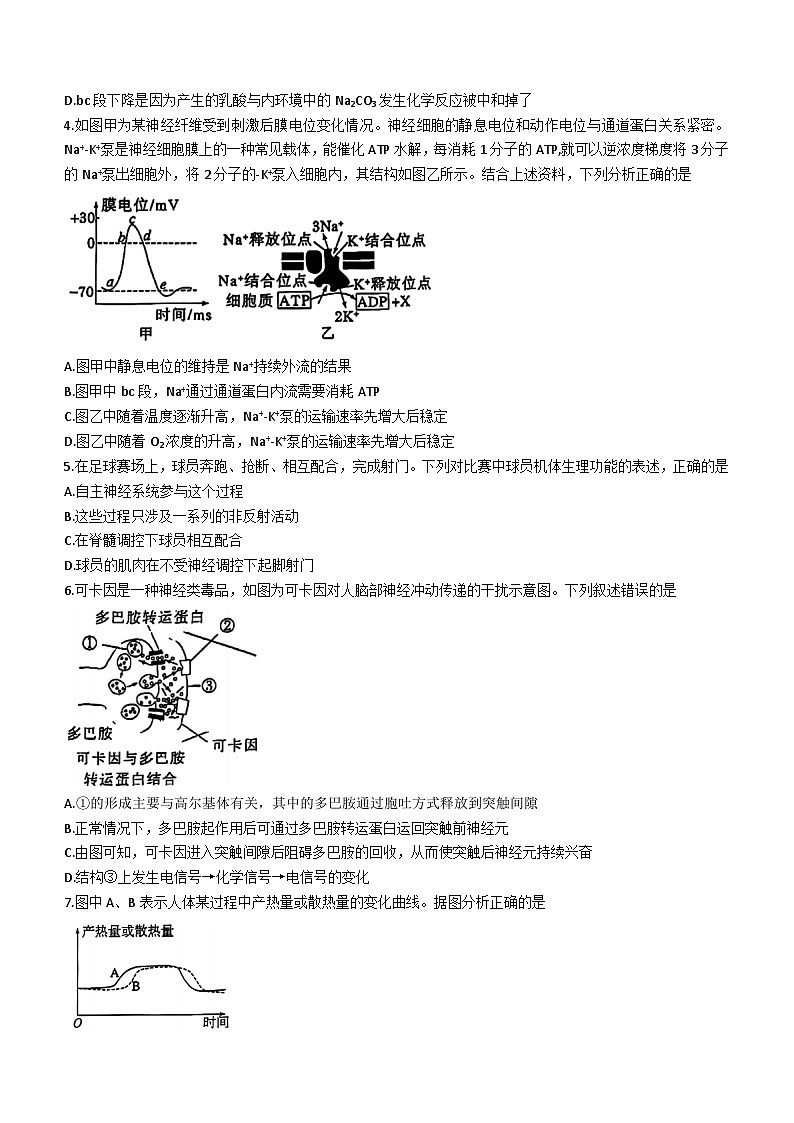 27，安徽省黄山市2023-2024学年高二上学期1月期末生物试题(无答案)第2页