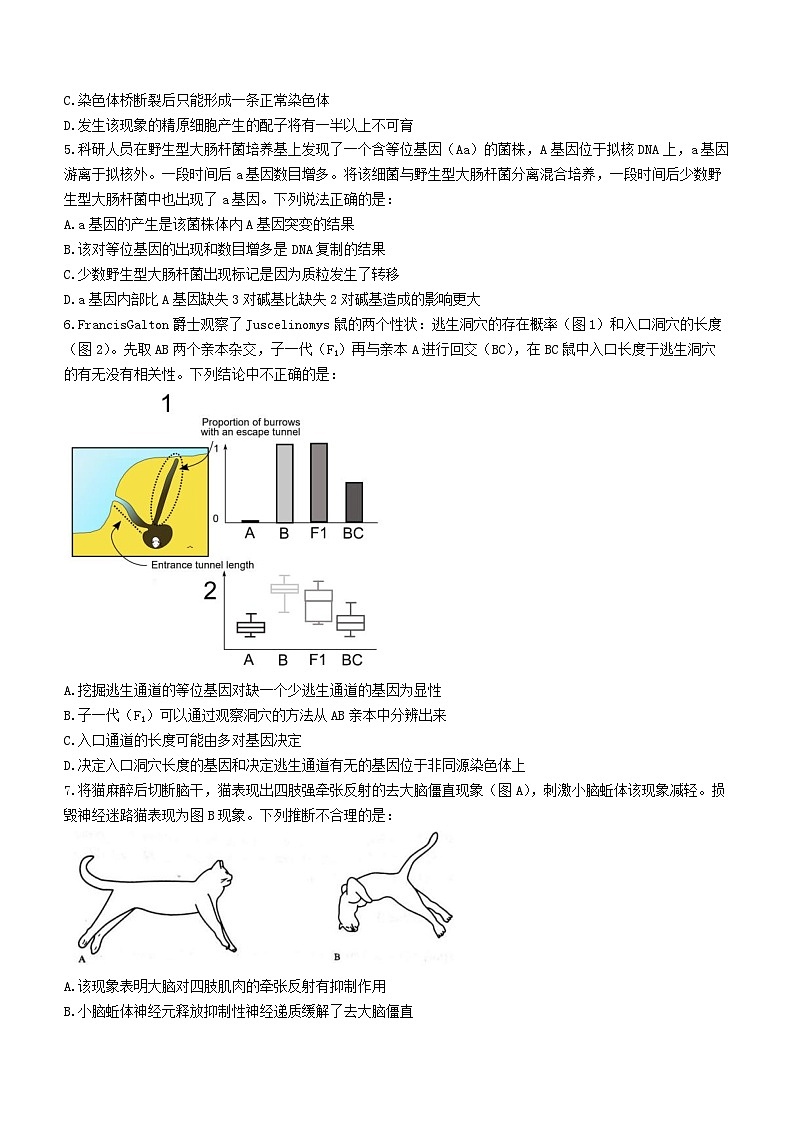 29，2024届江苏省高三高考适应性生物试题02