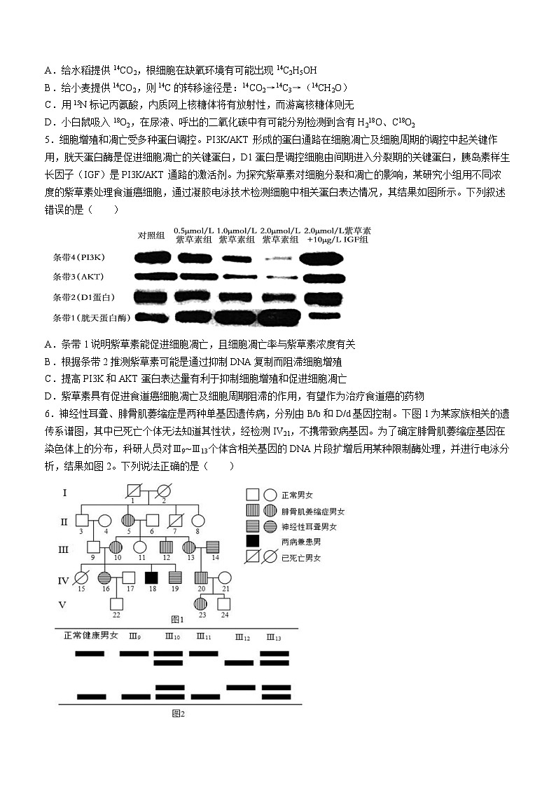 32，2024届江苏省南京市、盐城市高三一模生物试题(无答案)第2页