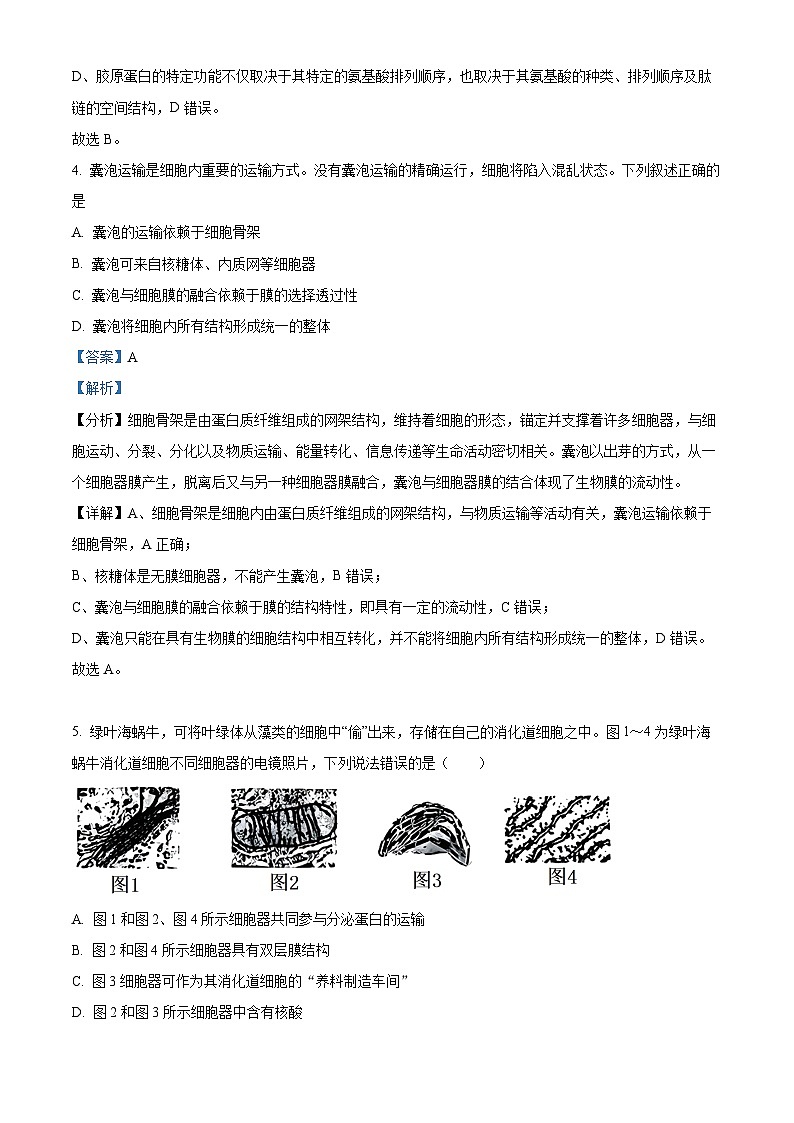 41，重庆市西南大学附中2023-2024学年高一上学期期末生物试题第3页