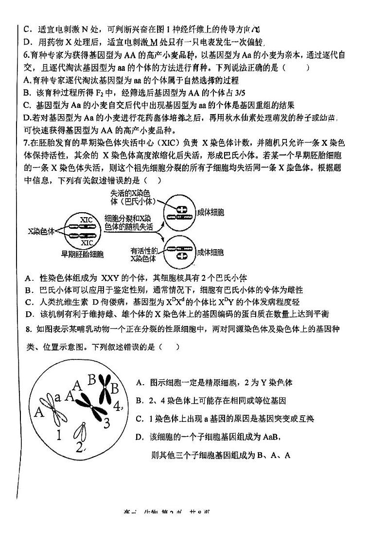 天津市第四十七中学2023-2024学年高三上学期第三次月考生物试卷（含答案）第2页