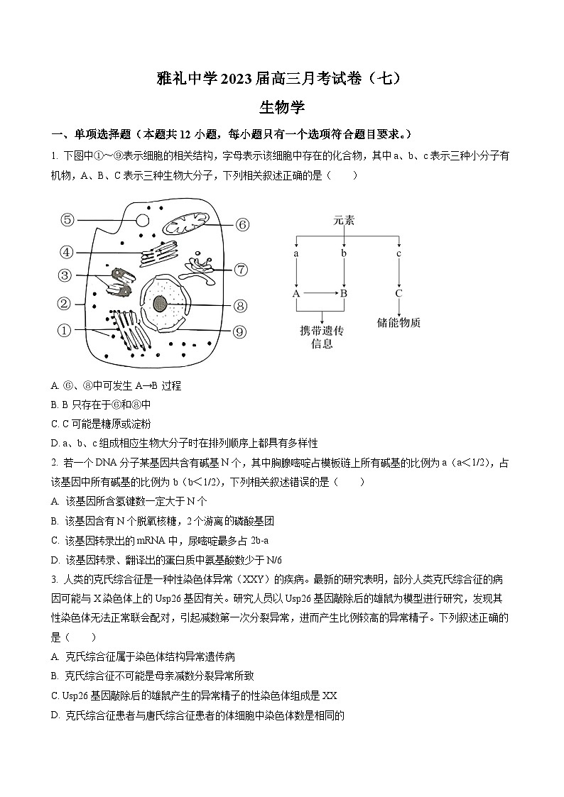 湖南省长沙市雅礼中学2022-2023学年高三下学期月考试卷(七)生物01