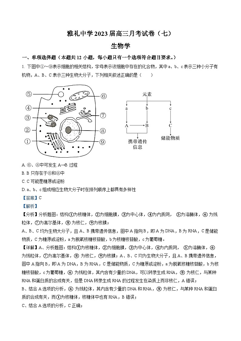 湖南省长沙市雅礼中学2022-2023学年高三下学期月考试卷(七)生物01