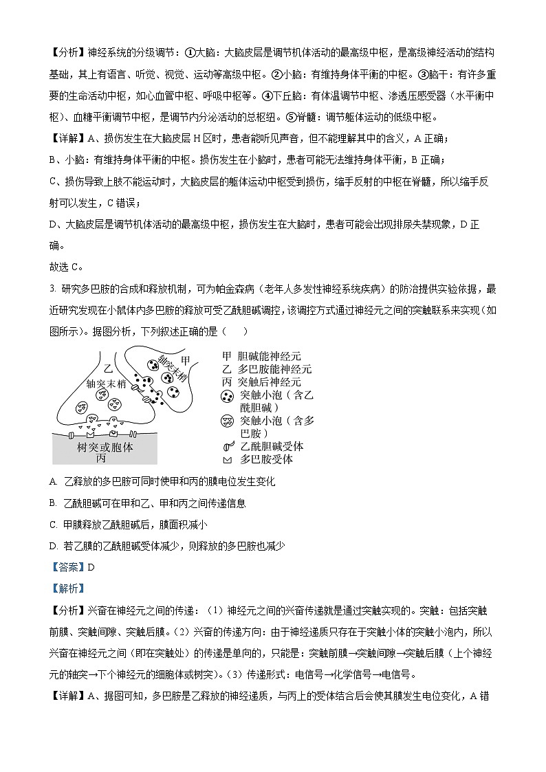 江西省新余市2023-2024学年高二上学期期末质量检测生物试题（Word版附解析）02