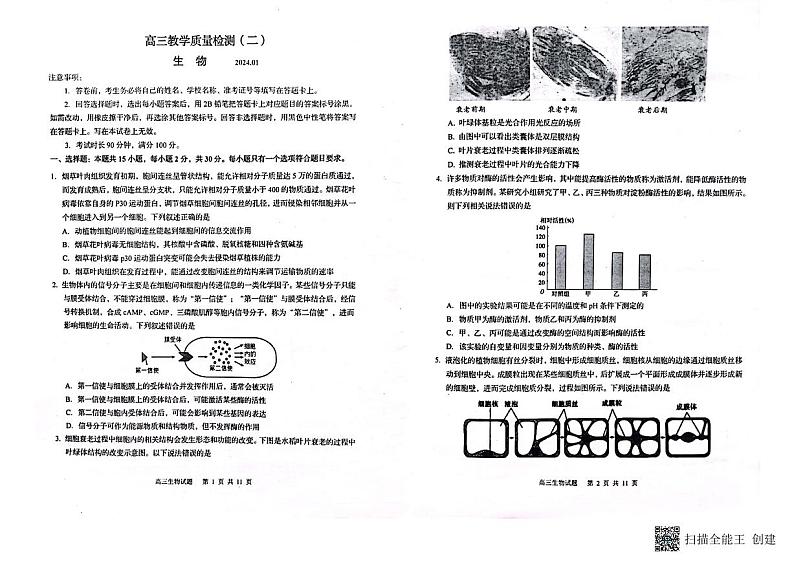 山东省青岛市莱西市2023-2024学年高三上学期1月期末考试生物试题（PDF版附答案）01