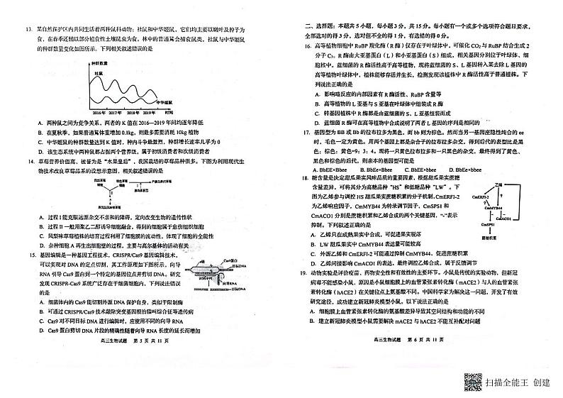 山东省青岛市莱西市2023-2024学年高三上学期1月期末考试生物试题（PDF版附答案）03