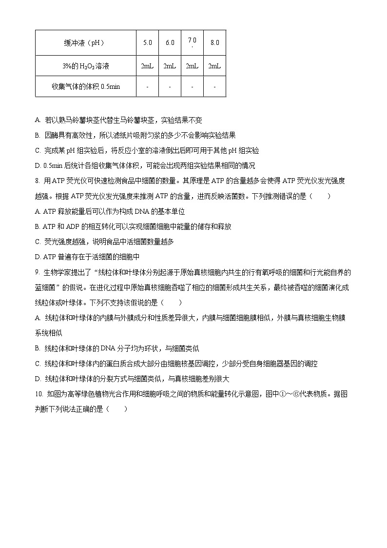 山东省泰安市2023-2024学年高一上学期1月期末考试生物试卷（Word版附解析）03