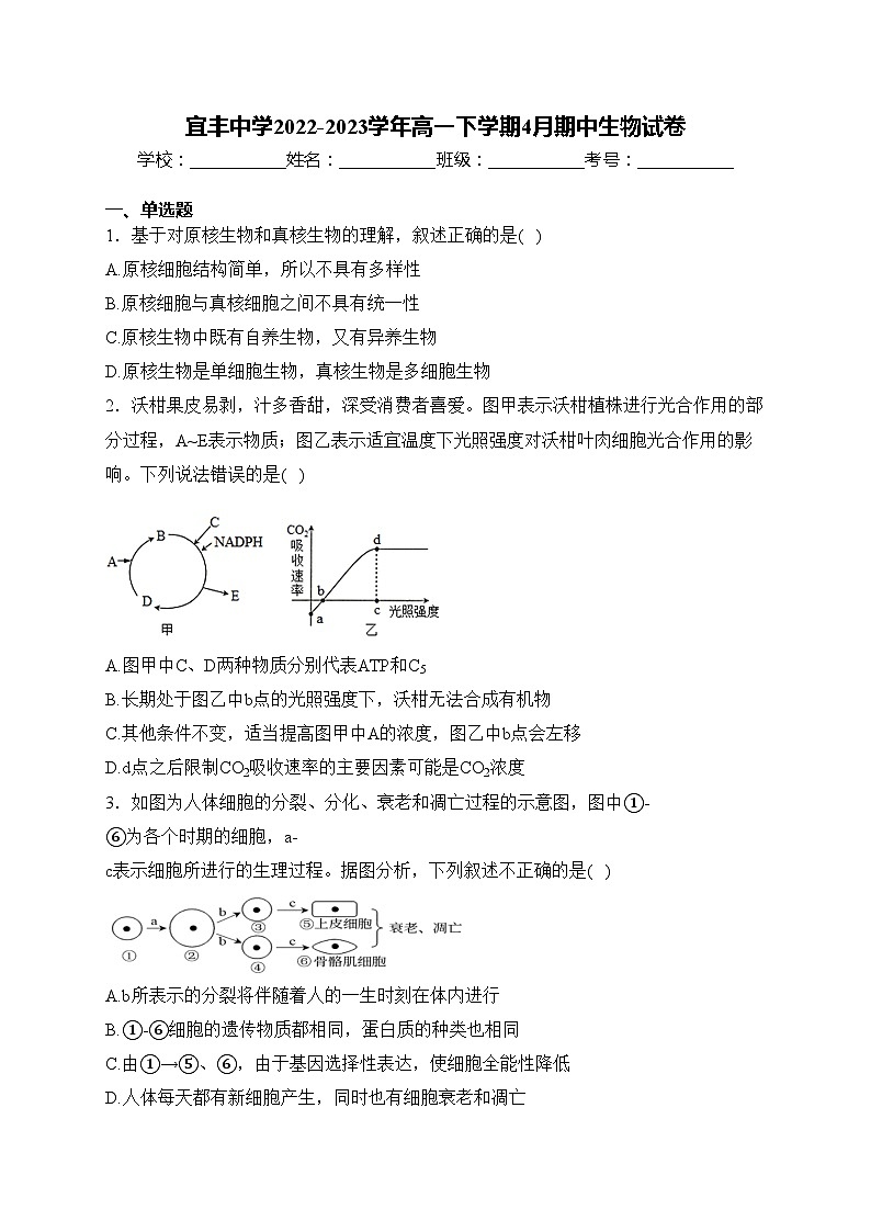 宜丰中学2022-2023学年高一下学期4月期中生物试卷(含答案)第1页
