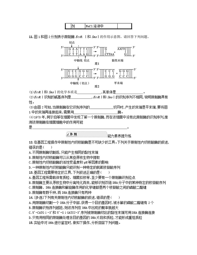 江苏专版2023_2024学年新教材高中生物第3章基因工程第1节重组DNA技术的基本工具分层作业新人教版选择性必修3第3页