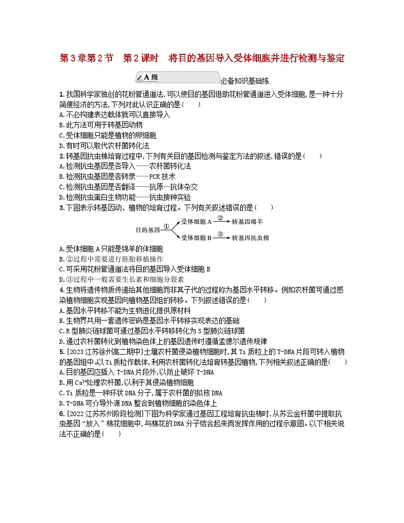 江苏专版2023_2024学年新教材高中生物第3章基因工程第2节基因工程的基本操作程序第2课时将目的基因导入受体细胞并进行检测与鉴定分层作业新人教版选择性必修301