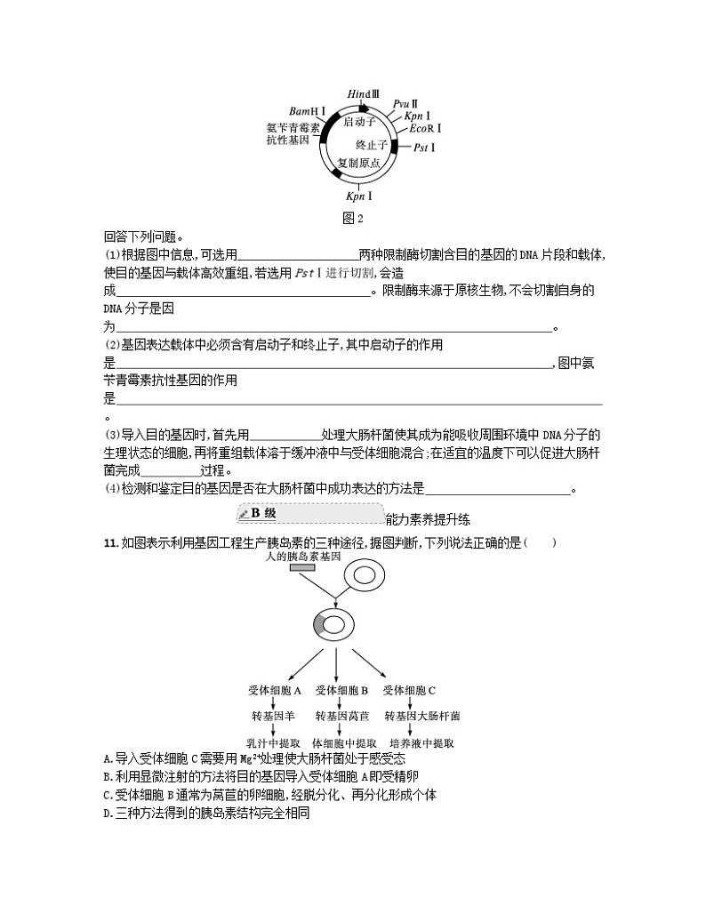 江苏专版2023_2024学年新教材高中生物第3章基因工程第2节基因工程的基本操作程序第2课时将目的基因导入受体细胞并进行检测与鉴定分层作业新人教版选择性必修303