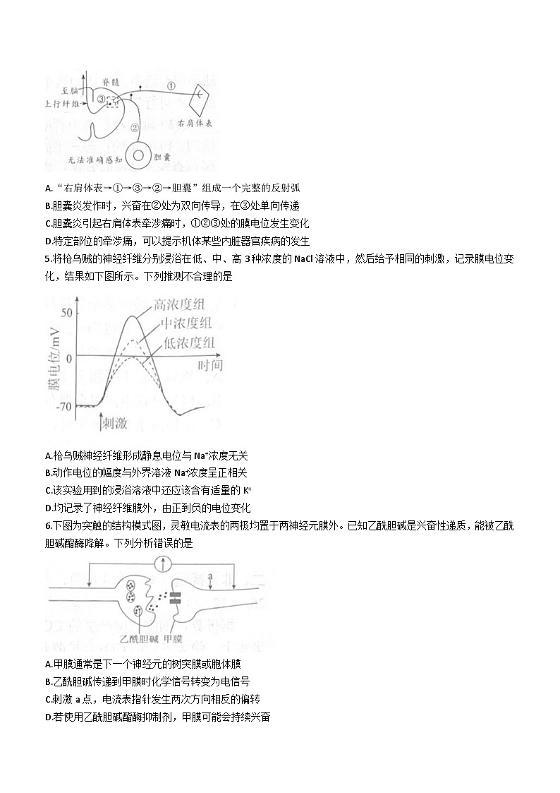 四川省绵阳市2023_2024学年高二上期期末考试生物学试题第2页