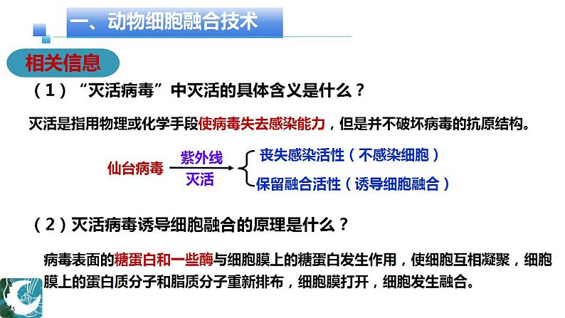 人教版（2019）高中生物  选择性必修三  2.2.1动物细胞培养（1课时）课件06