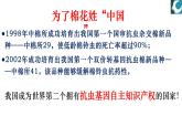 人教版（2019）高中生物选择性必修三  3.1重组DNA技术的基本工具（2课时）课件