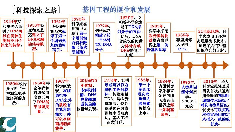 人教版（2019）高中生物选择性必修三  3.1重组DNA技术的基本工具（2课时）课件03