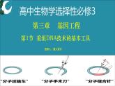 人教版（2019）高中生物选择性必修三  3.1重组DNA技术的基本工具（2课时）课件
