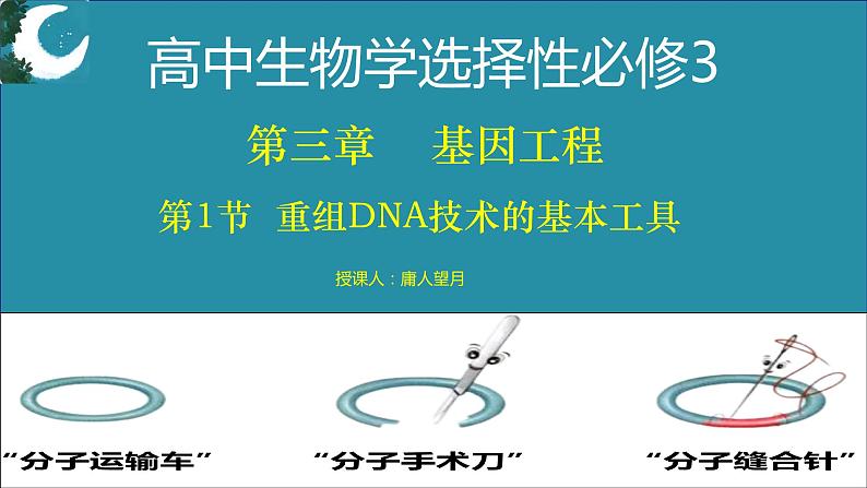 人教版（2019）高中生物选择性必修三  3.1重组DNA技术的基本工具（2课时）课件05