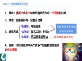 人教版（2019）高中生物學(xué)  選擇性必修三  生物技術(shù)與工程     2.2.2動物細胞融合及單克隆抗體（1課時）課件